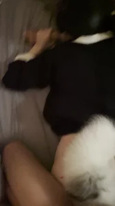 原创，申请邀请码